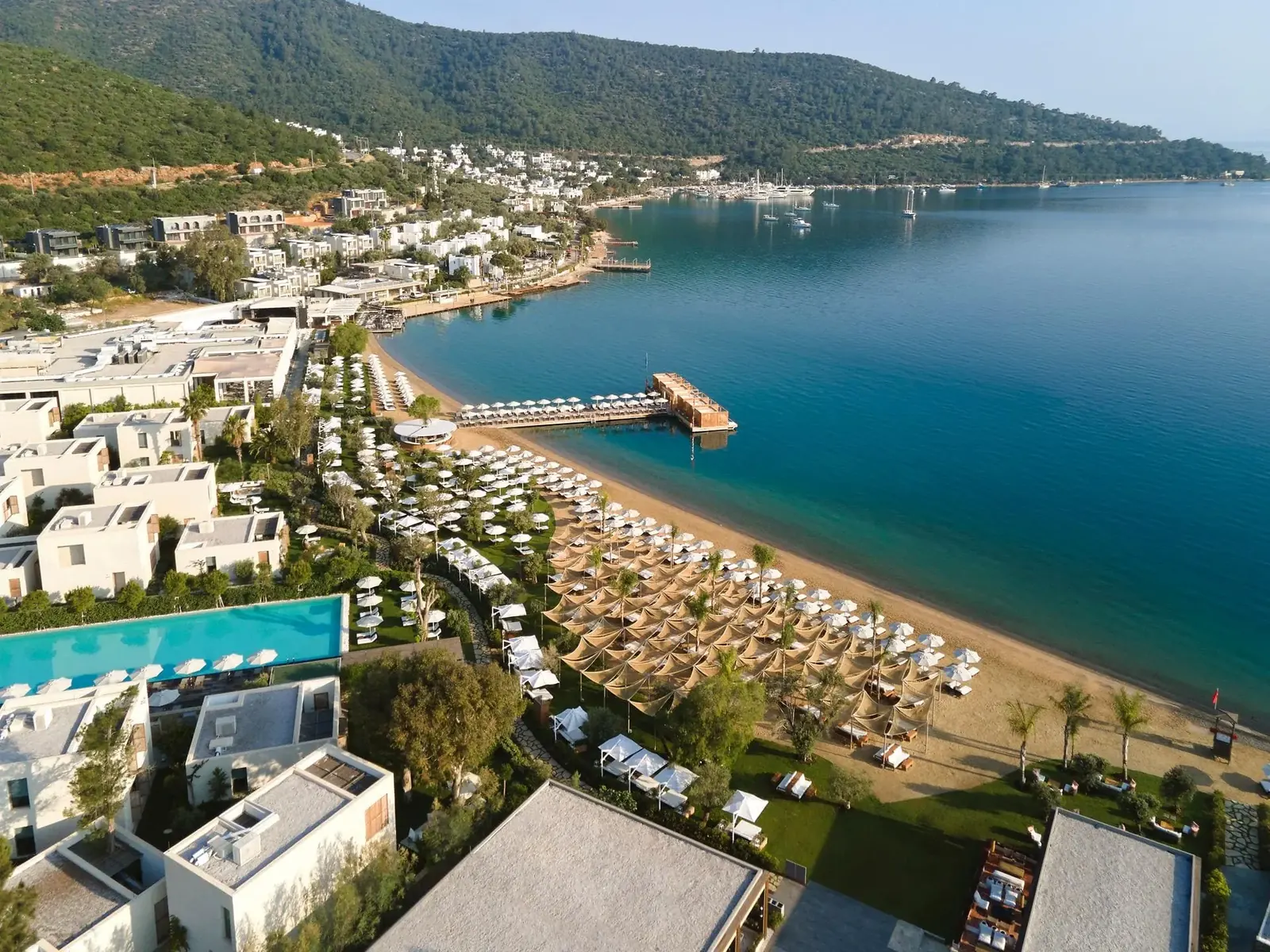 VIP Transfer Torba