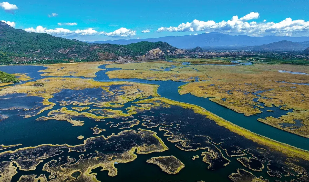 Private VIP Tour to Dalyan - 13